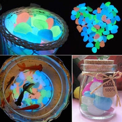 Transform Your Garden with Glow-in-the-Dark Pebbles!